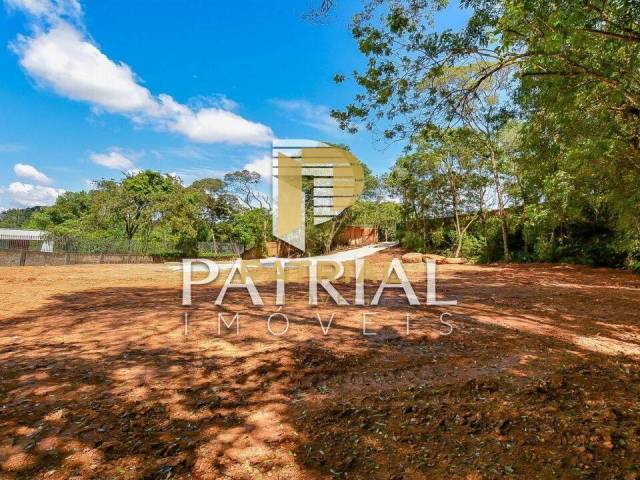 Terreno para Venda em Curitiba - 4