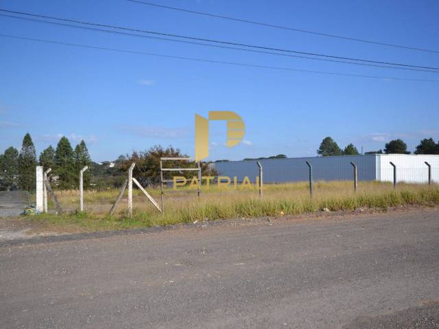 Terreno para Venda em Quatro Barras - 4