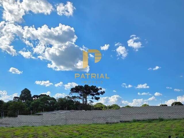 Área para Venda em Curitiba - 4