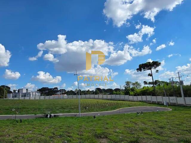 #2112 - Área para Venda em Curitiba - PR - 3