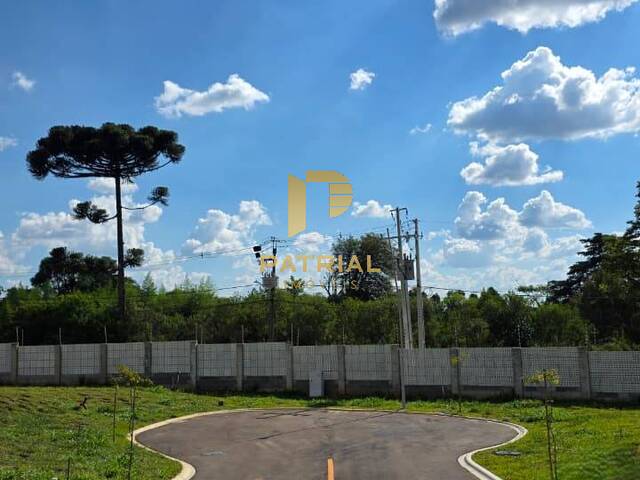 #2112 - Área para Venda em Curitiba - PR - 2