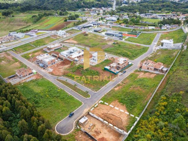 Terreno para Venda em Colombo - 5