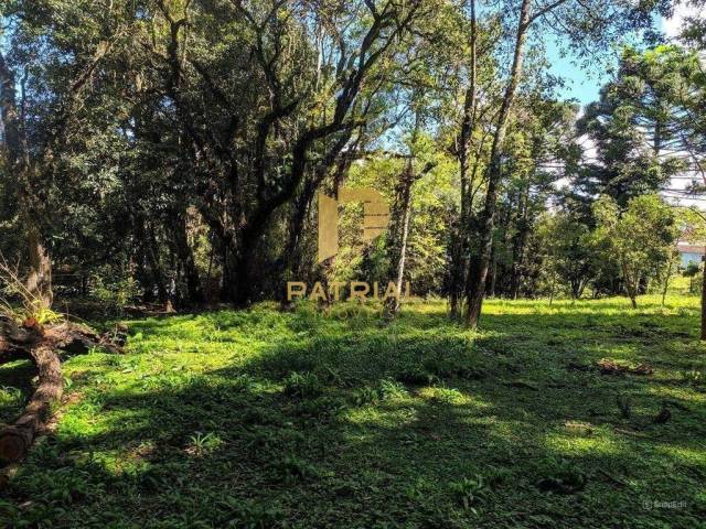 Terreno para Venda em Curitiba - 5