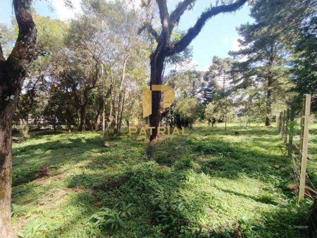 Terreno para Venda em Curitiba - 4