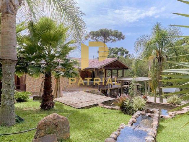 #CH0018 - Chácara para Venda em Campo Largo - PR - 3