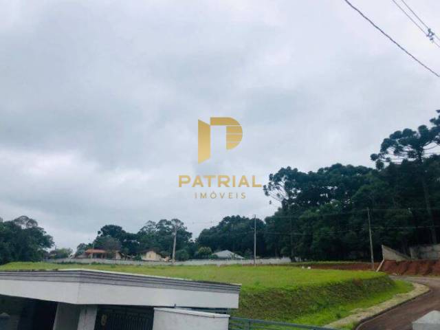 Terreno para Venda em Campo Largo - 4