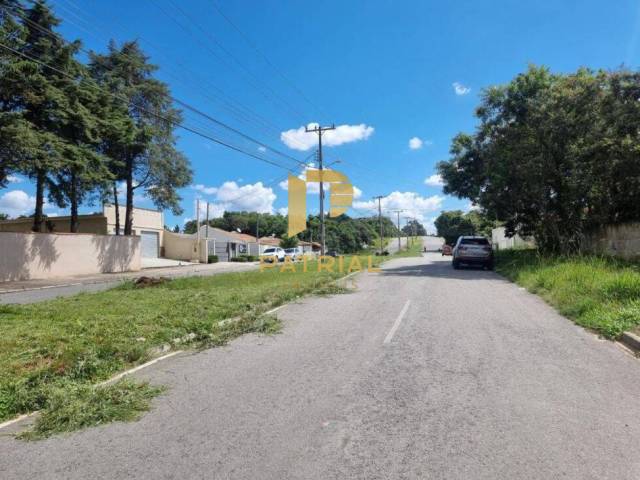 #TE0122 - Terreno para Venda em São José dos Pinhais - PR - 3